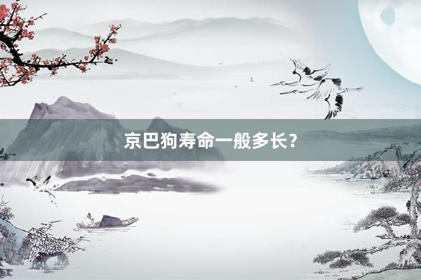 京巴狗寿命一般多长？